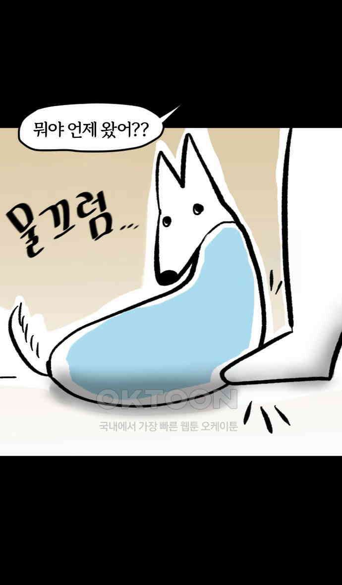 개집사 9화 쉿 4