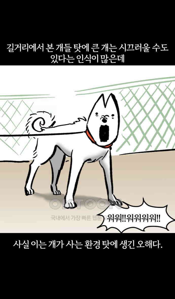 개집사 9화 쉿 7