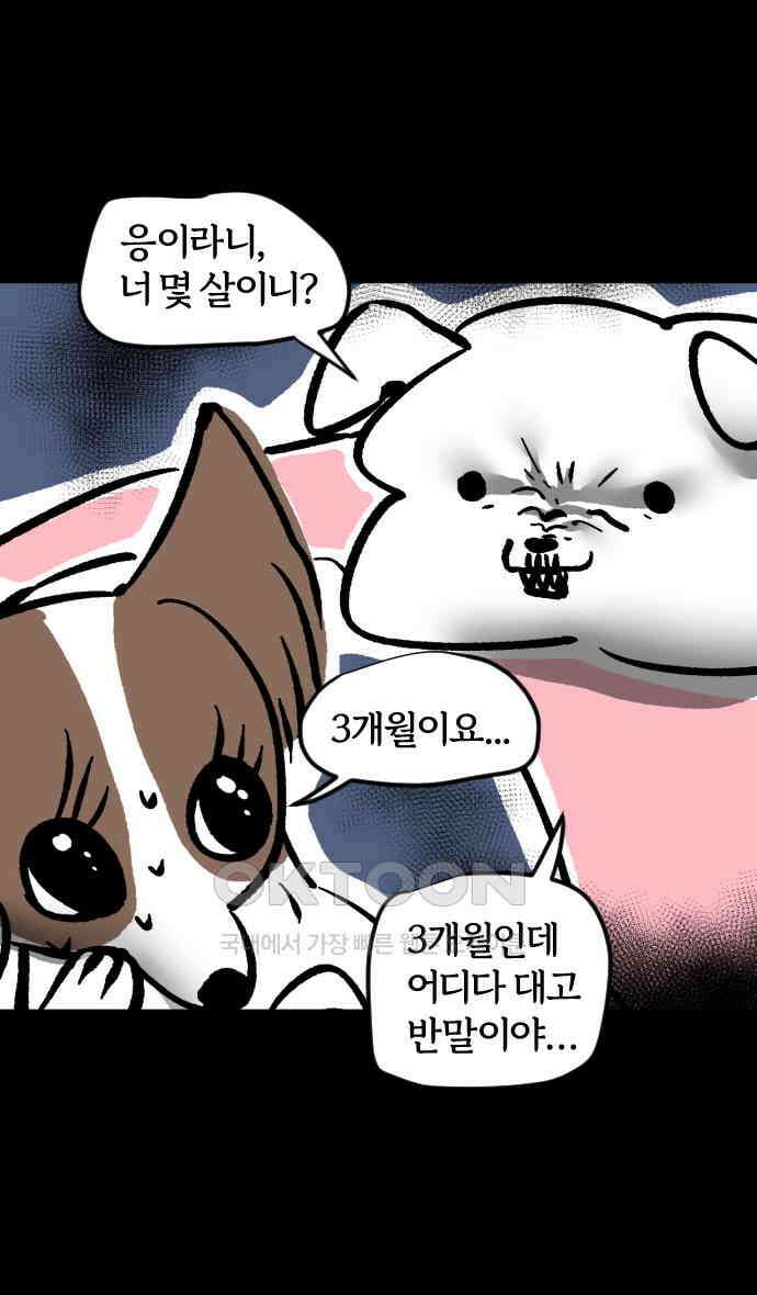개집사 19화 피바다 15