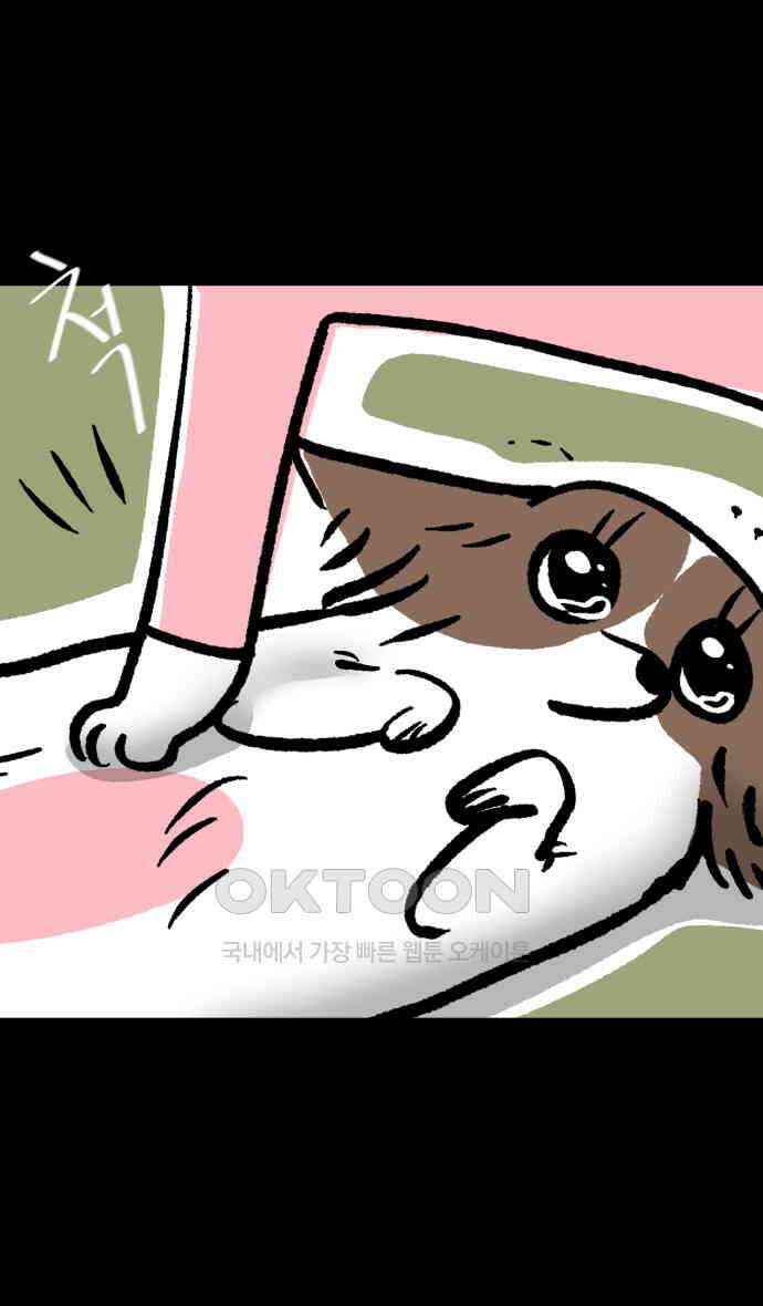 개집사 19화 피바다 18