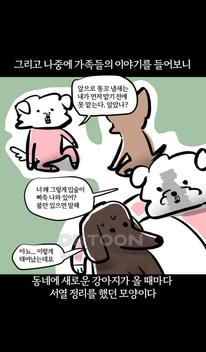 개집사 19화 피바다 22