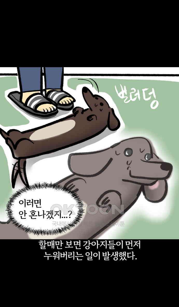 개집사 19화 피바다 25