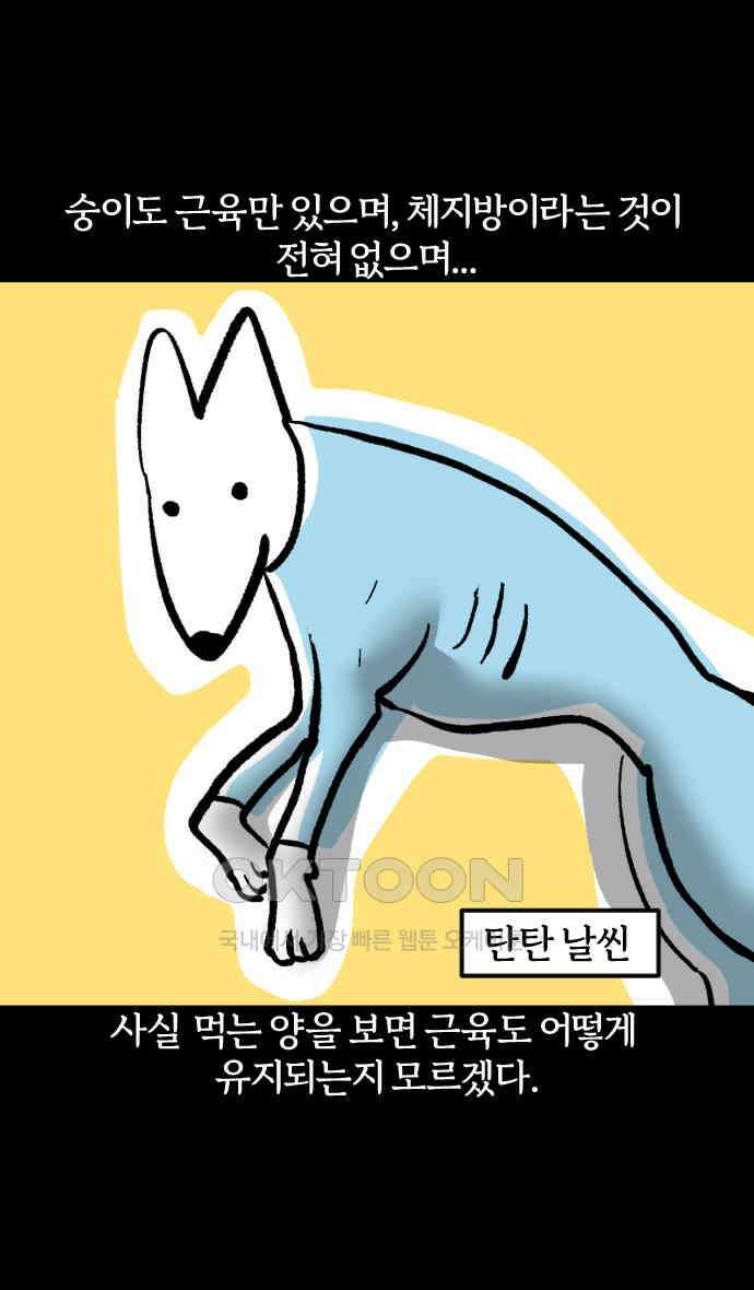 개집사 24화 밥먹자 13