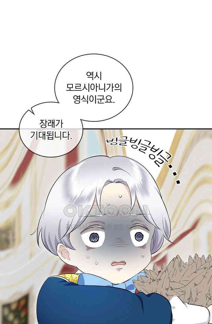 눌리타스: 절반의 백작 영애 167화 48