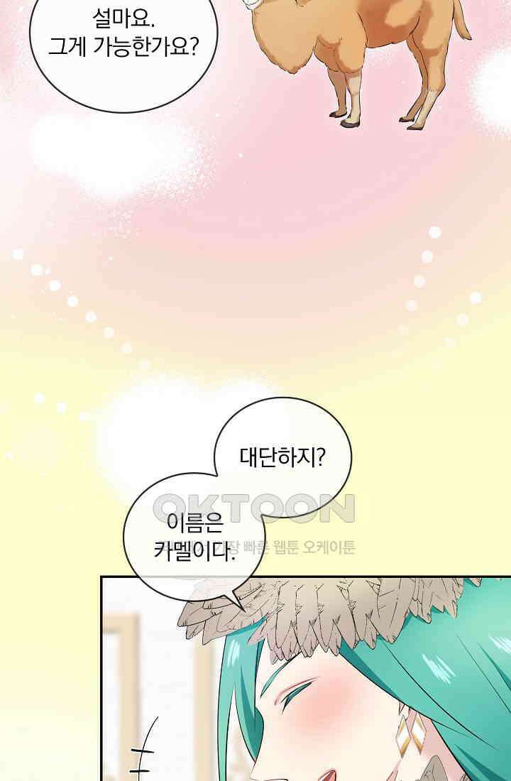 눌리타스: 절반의 백작 영애 167화 66