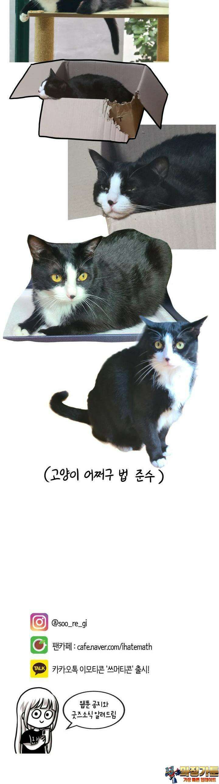 재활용 머학생 77화 시댁 가는 만화 15