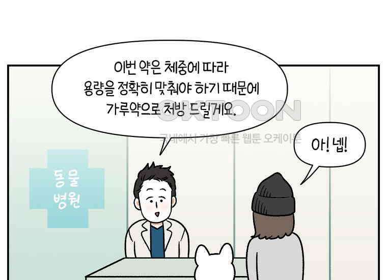 극한견주 시즌2 6화 강아지 가루약 먹이는 법 3