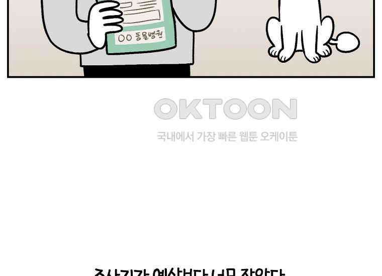 극한견주 시즌2 6화 강아지 가루약 먹이는 법 9