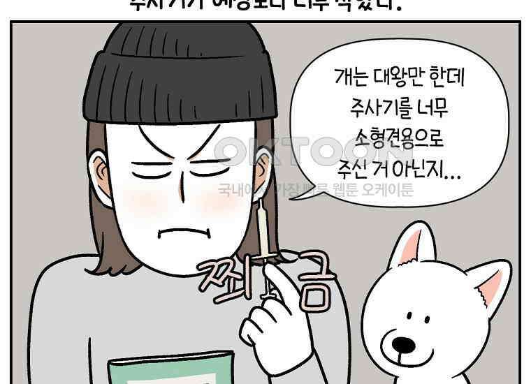 극한견주 시즌2 6화 강아지 가루약 먹이는 법 10