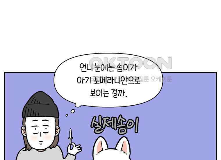 극한견주 시즌2 6화 강아지 가루약 먹이는 법 13