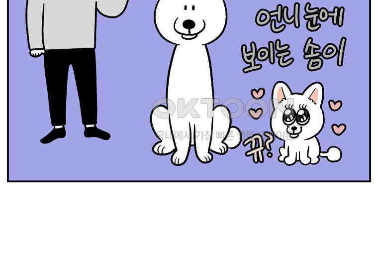 극한견주 시즌2 6화 강아지 가루약 먹이는 법 14