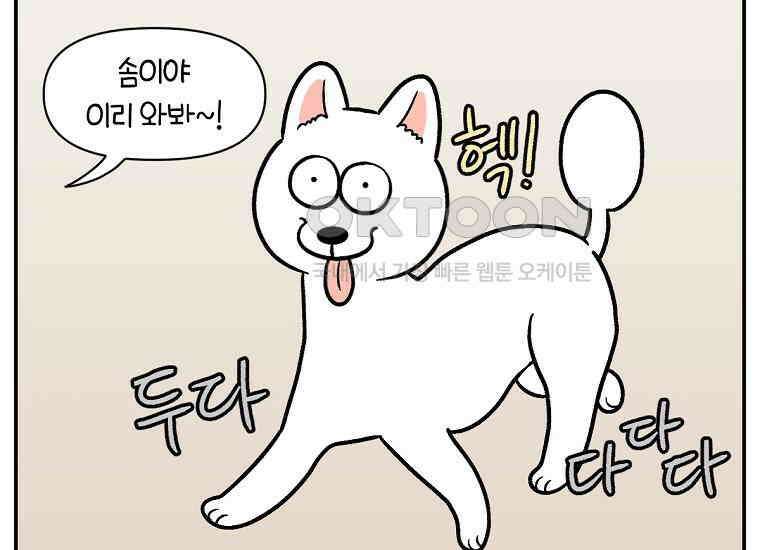 극한견주 시즌2 6화 강아지 가루약 먹이는 법 20