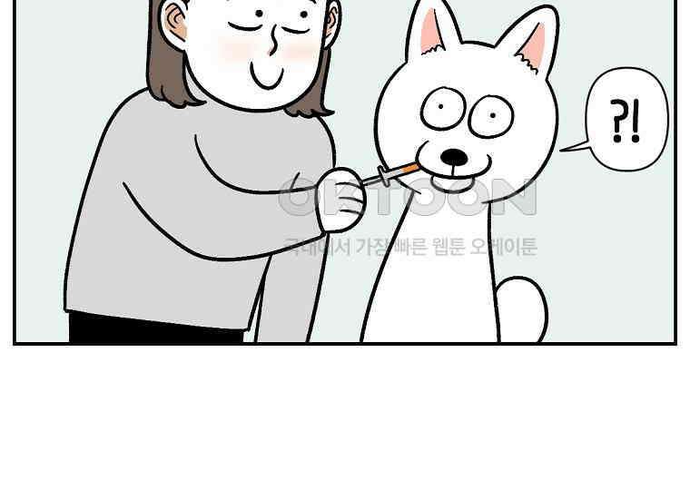 극한견주 시즌2 6화 강아지 가루약 먹이는 법 22
