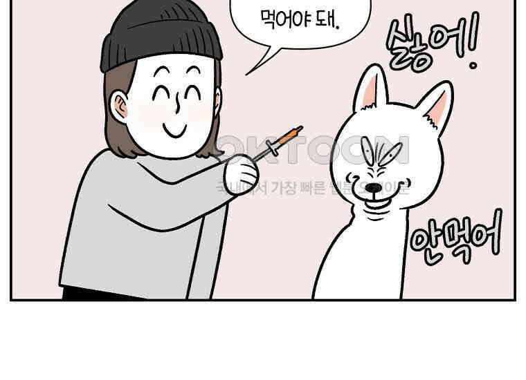 극한견주 시즌2 6화 강아지 가루약 먹이는 법 25