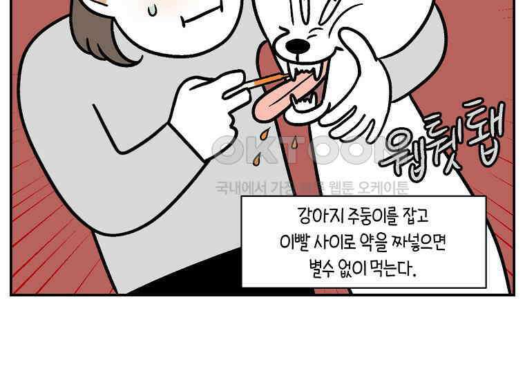 극한견주 시즌2 6화 강아지 가루약 먹이는 법 27
