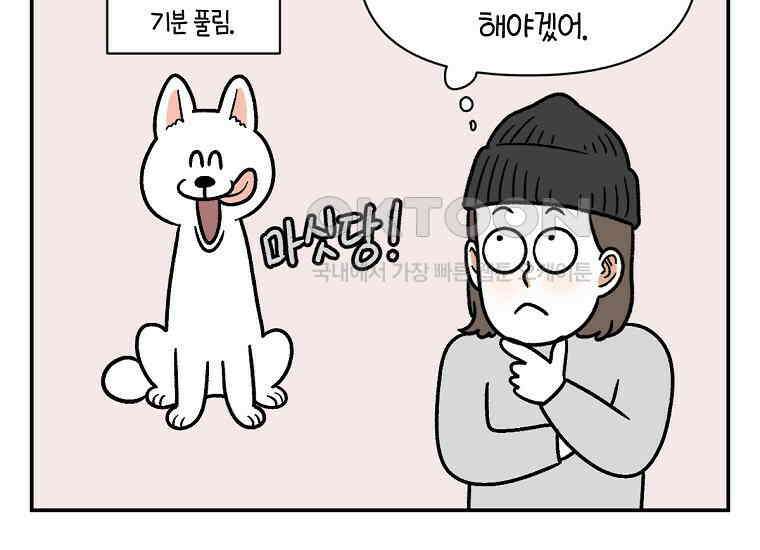극한견주 시즌2 6화 강아지 가루약 먹이는 법 30