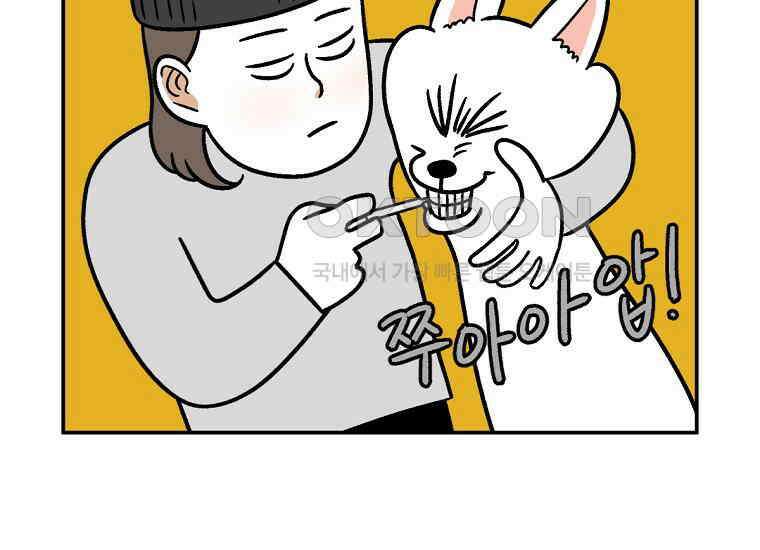 극한견주 시즌2 6화 강아지 가루약 먹이는 법 36