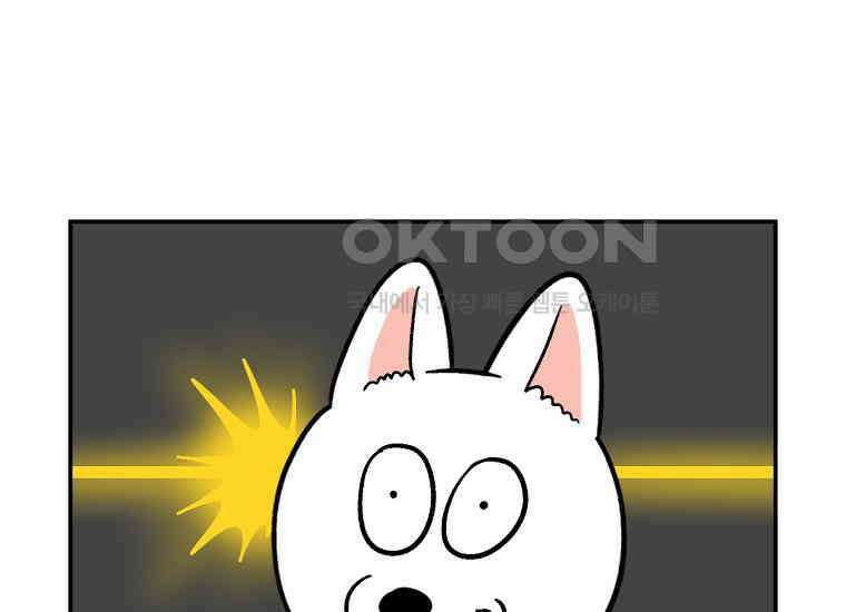 극한견주 시즌2 6화 강아지 가루약 먹이는 법 37