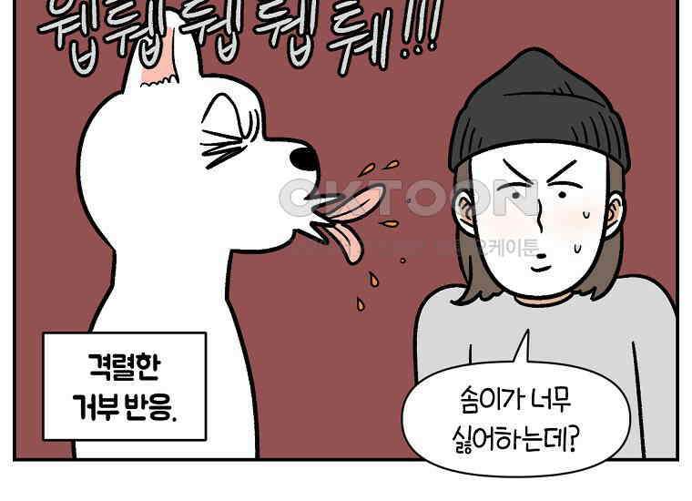 극한견주 시즌2 6화 강아지 가루약 먹이는 법 41