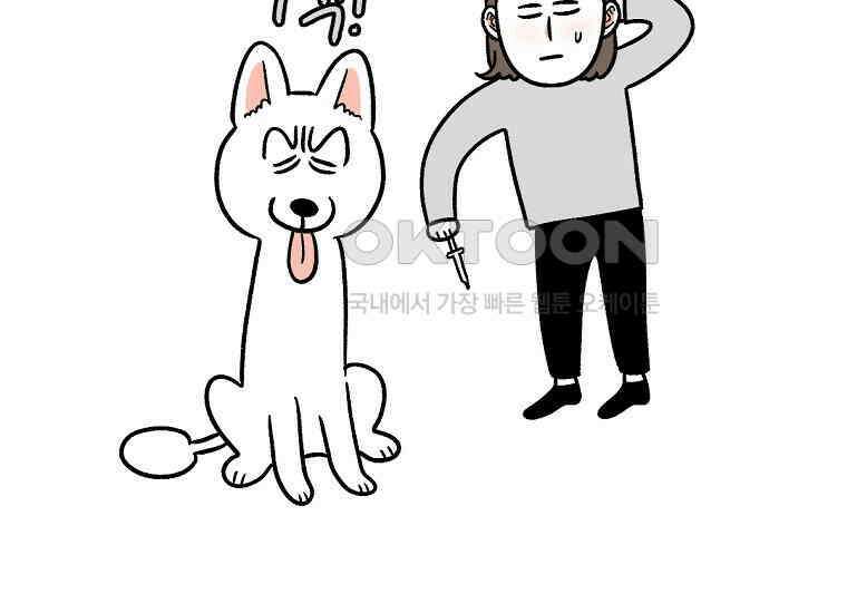 극한견주 시즌2 6화 강아지 가루약 먹이는 법 43