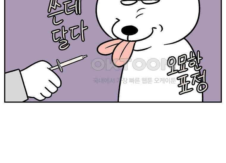 극한견주 시즌2 6화 강아지 가루약 먹이는 법 45