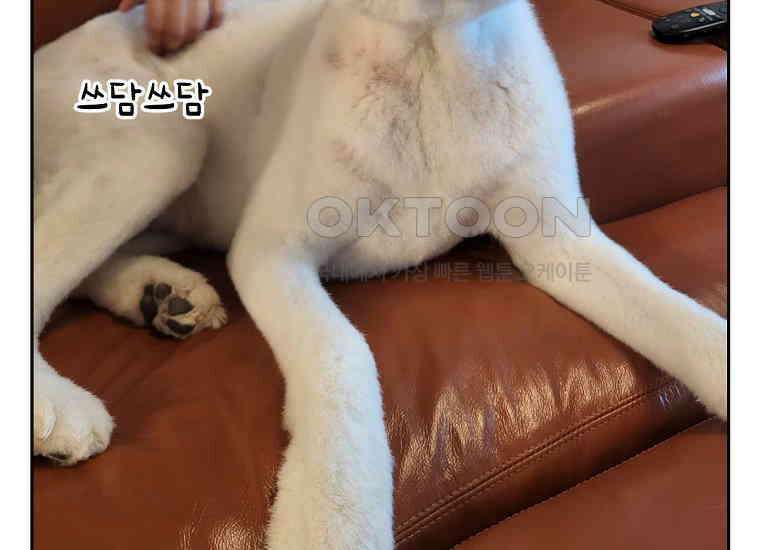 극한견주 시즌2 6화 강아지 가루약 먹이는 법 49