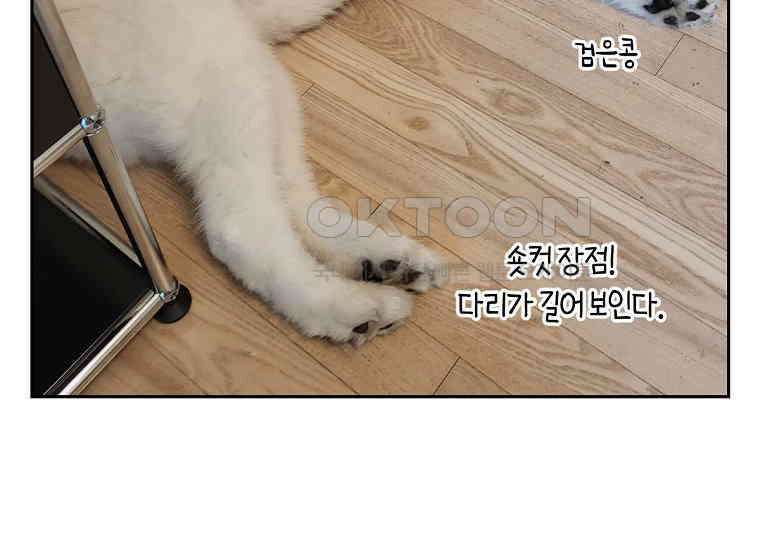 극한견주 시즌2 6화 강아지 가루약 먹이는 법 54
