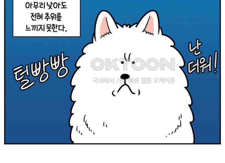 극한견주 시즌2 12화 문 닫기 금지 5