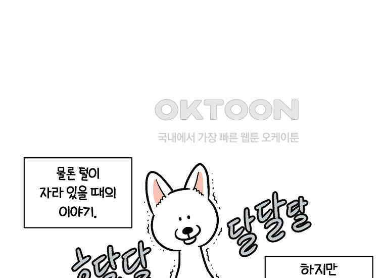 극한견주 시즌2 12화 문 닫기 금지 6