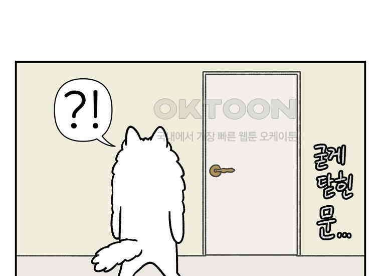 극한견주 시즌2 12화 문 닫기 금지 13