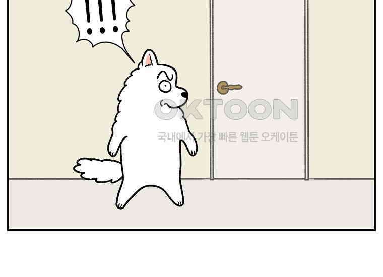 극한견주 시즌2 12화 문 닫기 금지 25