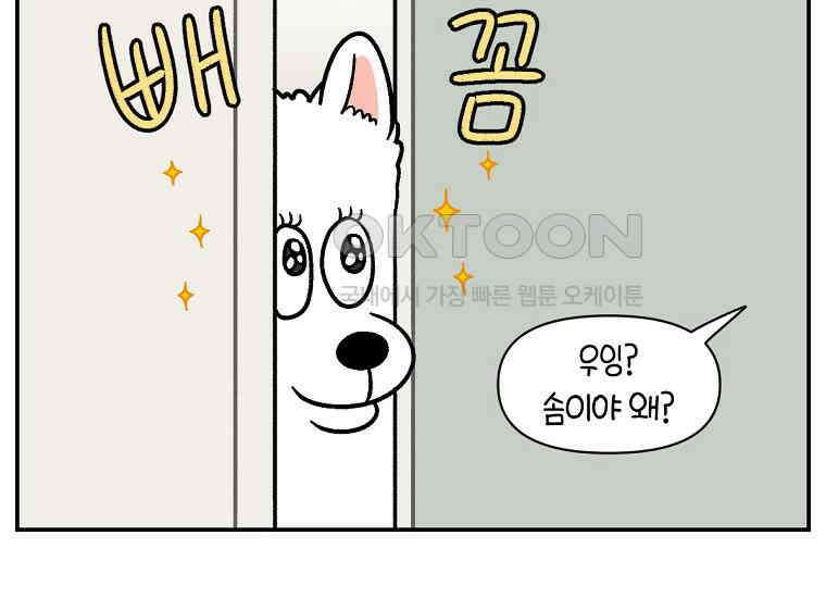 극한견주 시즌2 12화 문 닫기 금지 40