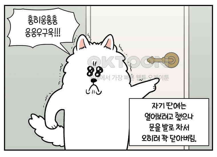 극한견주 시즌2 12화 문 닫기 금지 53