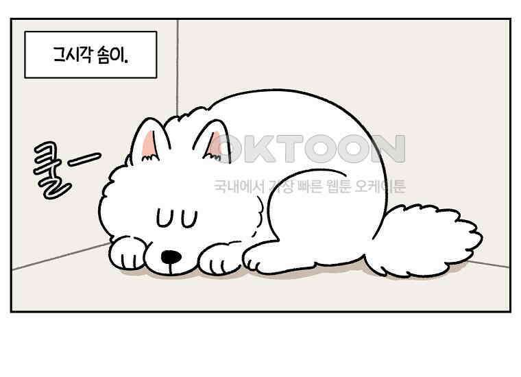 극한견주 시즌2 19화 클린 식단 9