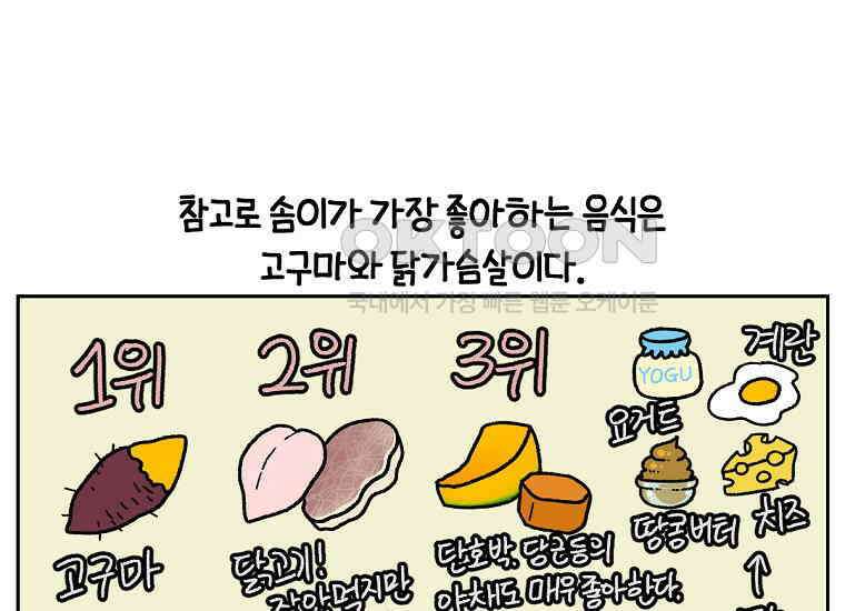 극한견주 시즌2 19화 클린 식단 17