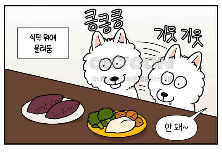 극한견주 시즌2 19화 클린 식단 30