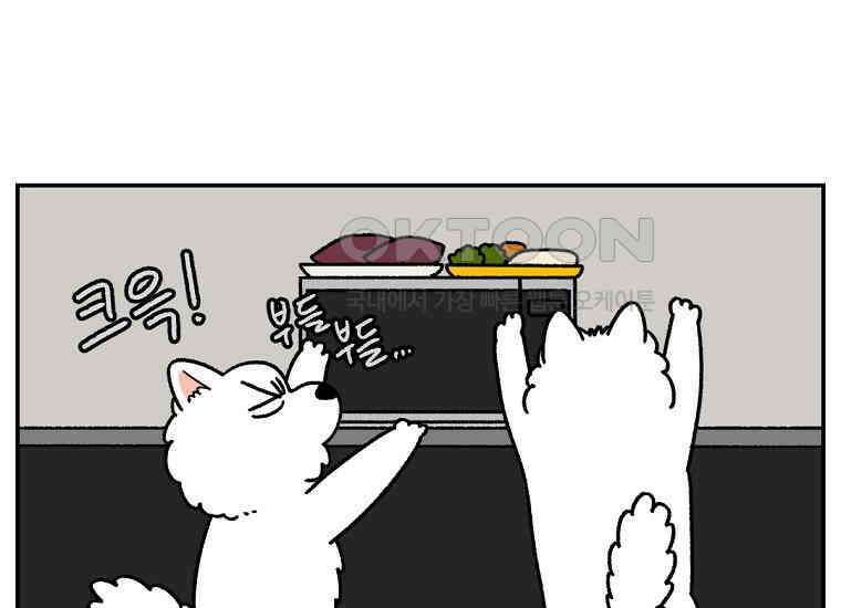 극한견주 시즌2 19화 클린 식단 35