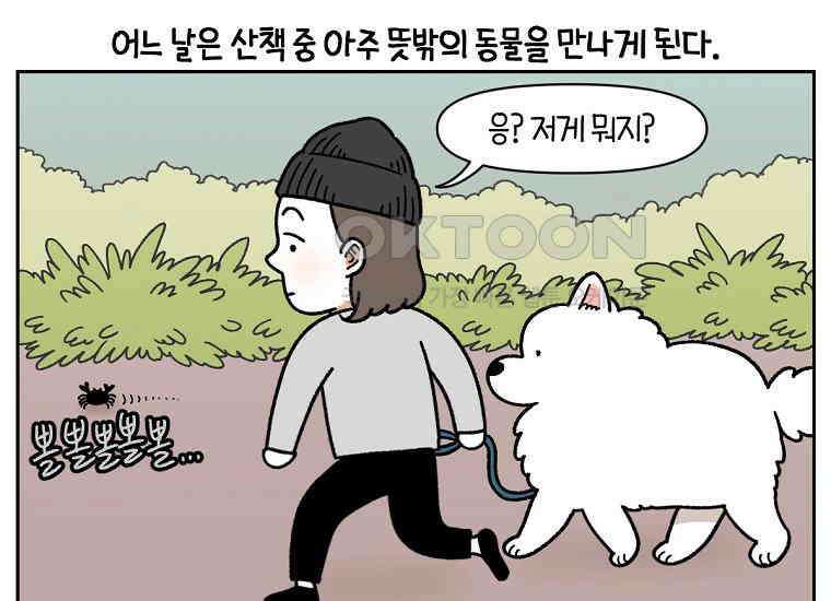 극한견주 시즌2 25화 뜻밖의 동물 친구들 3