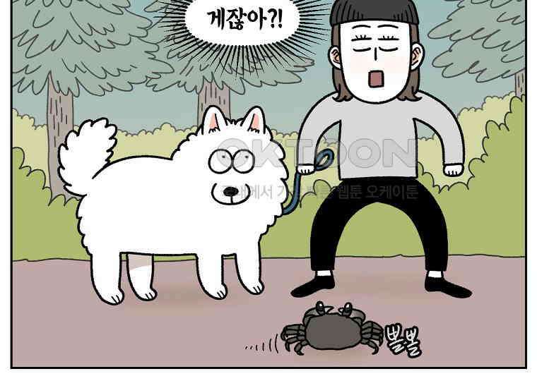 극한견주 시즌2 25화 뜻밖의 동물 친구들 6