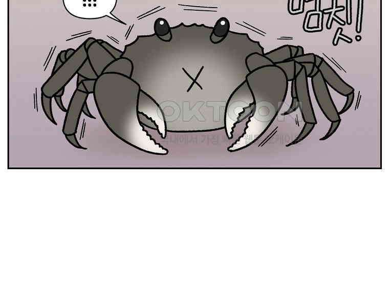 극한견주 시즌2 25화 뜻밖의 동물 친구들 9