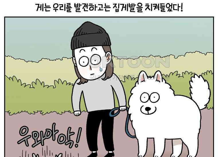 극한견주 시즌2 25화 뜻밖의 동물 친구들 12