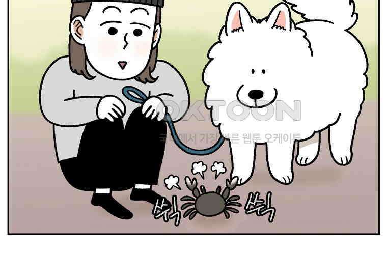 극한견주 시즌2 25화 뜻밖의 동물 친구들 14