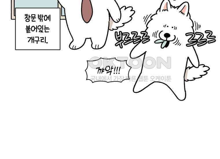 극한견주 시즌2 25화 뜻밖의 동물 친구들 16