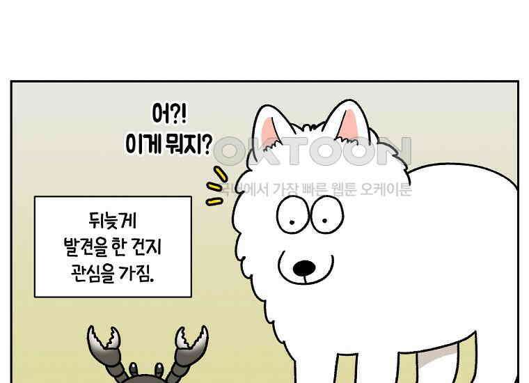 극한견주 시즌2 25화 뜻밖의 동물 친구들 19