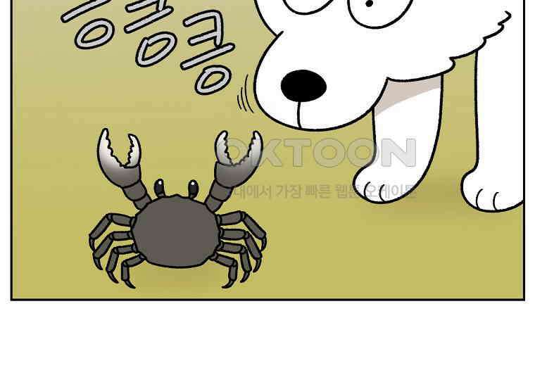 극한견주 시즌2 25화 뜻밖의 동물 친구들 21