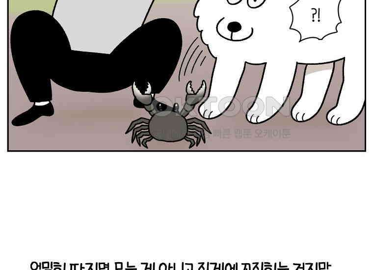 극한견주 시즌2 25화 뜻밖의 동물 친구들 23