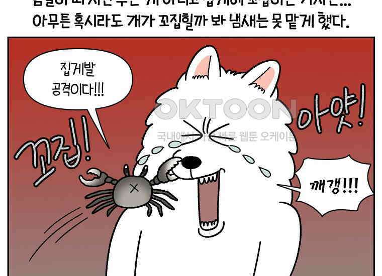극한견주 시즌2 25화 뜻밖의 동물 친구들 24