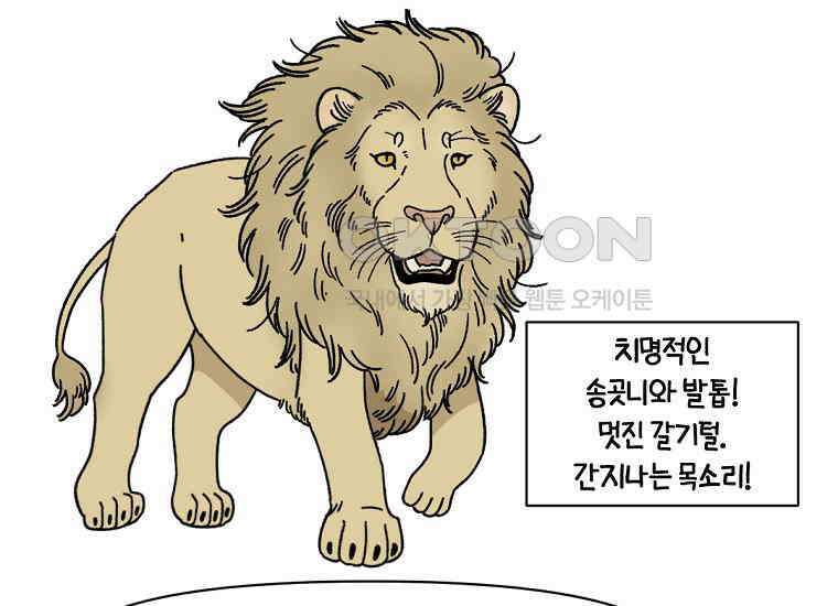 극한견주 시즌2 25화 뜻밖의 동물 친구들 41