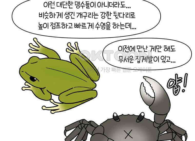 극한견주 시즌2 25화 뜻밖의 동물 친구들 42