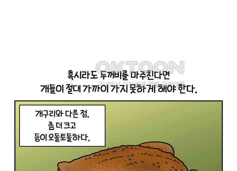 극한견주 시즌2 25화 뜻밖의 동물 친구들 46